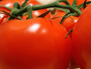Los tomates en tu dieta