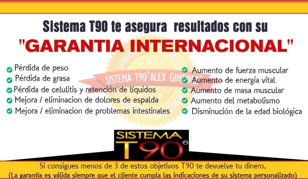 Objetivos y condiciones de la garantía internacional del sistema T90