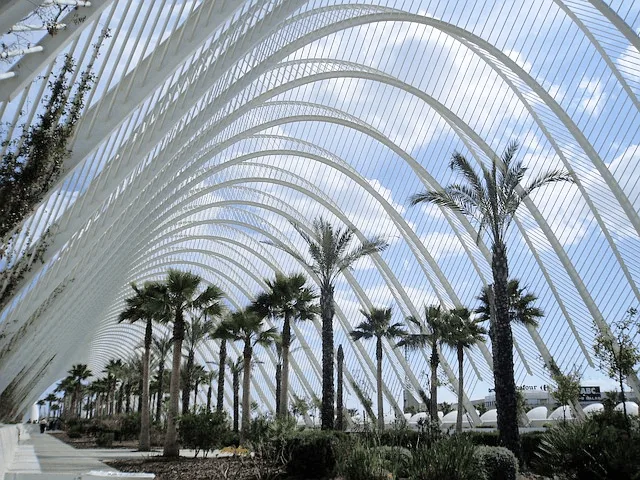 entrenador personal en valencia